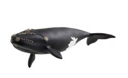 SCHLEICH - BALEINE FRANCHE DE L'ATLANTIQUE NORD #14878 *EXCLUSIF À CHICOUTIMI*